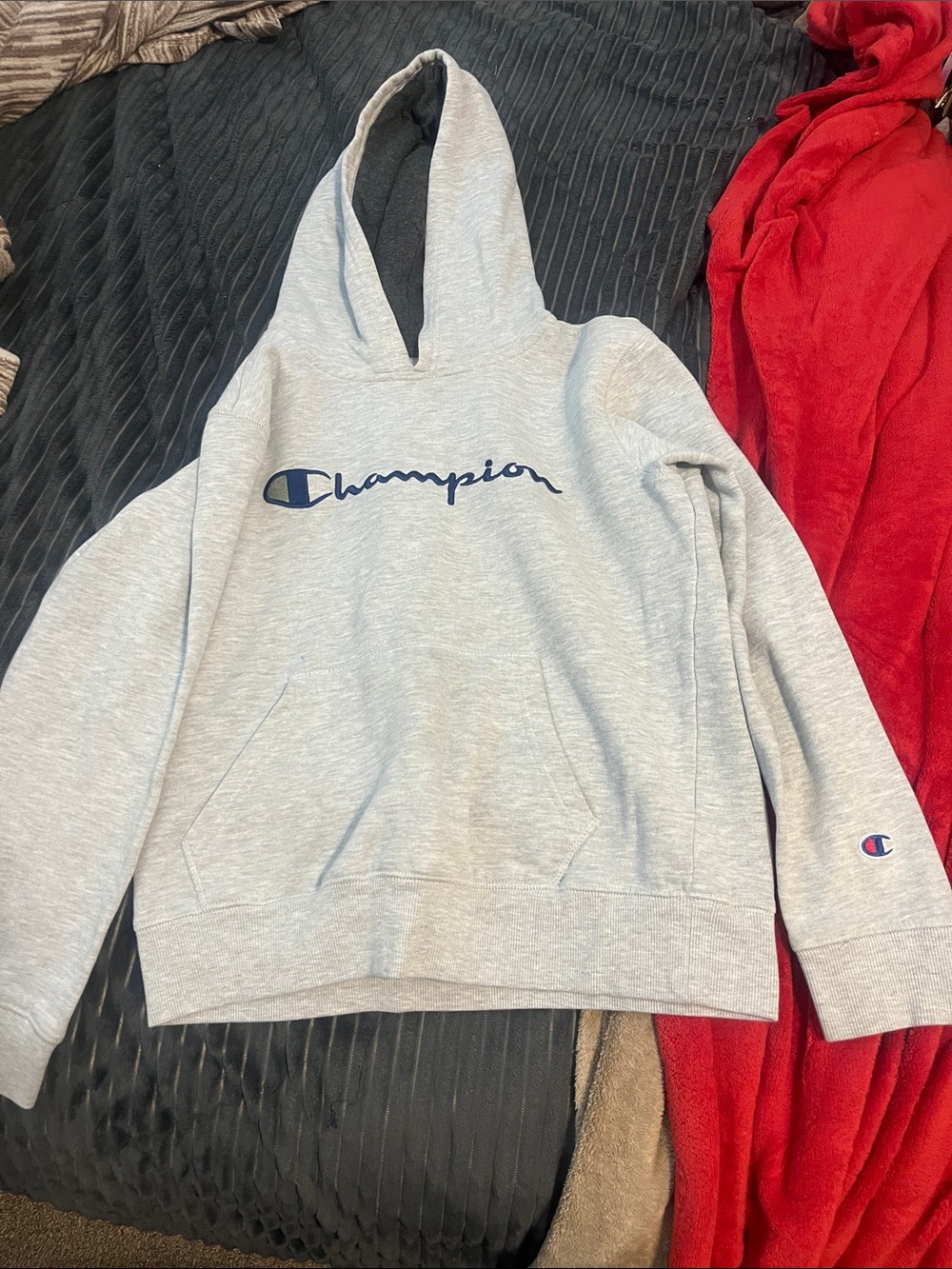 Champion Light Heather Gray Hoodie with Navy Script